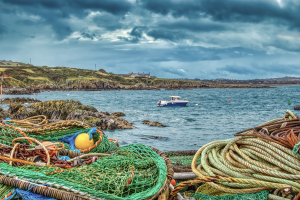 Nets, Ropes & A Seal Clogherhead
