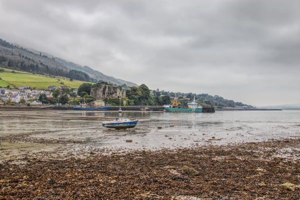 Tide Out Carlingford